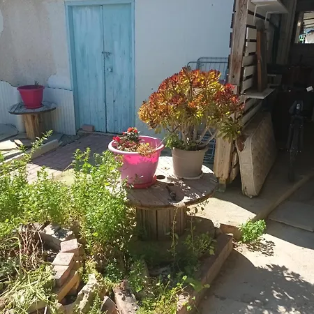 With Private Entrance From Outside, Traditional House منزل للإقامة